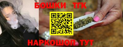 гашик Будённовск