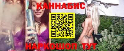 гашик Будённовск