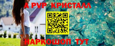 гашик Будённовск