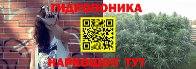 гашик Будённовск