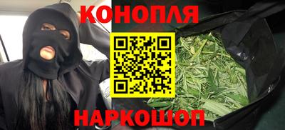 гашик Будённовск