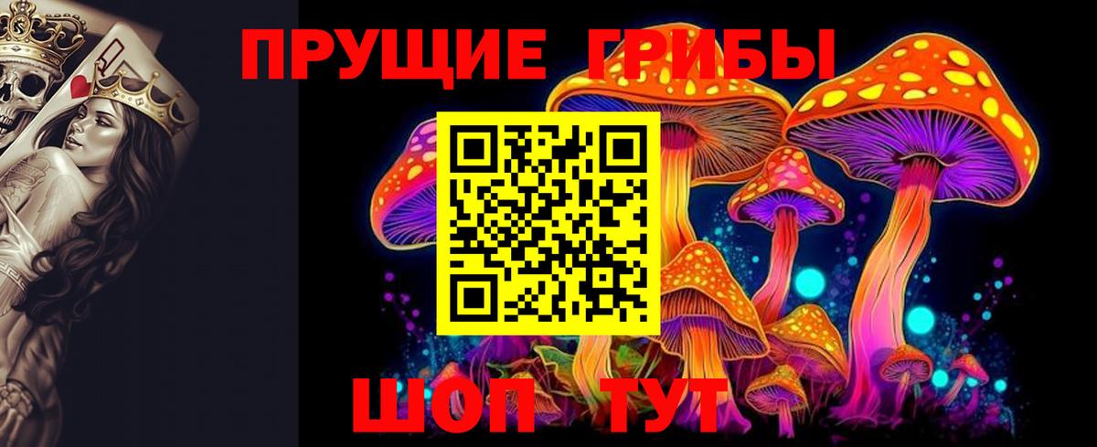 наркошоп  Галлюциногенные грибы Psilocybine cubensis  Вход с VPN  Саянск 